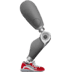 :mechanical_leg: