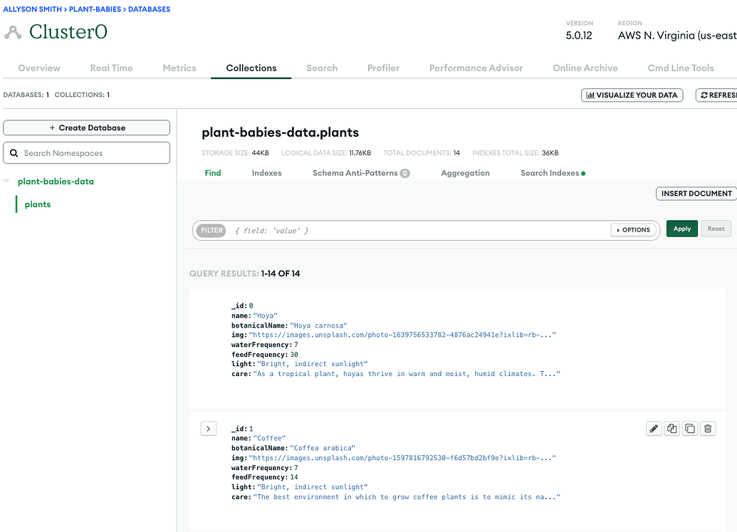 getting-empty-array-in-browser-when-testing-database-connection