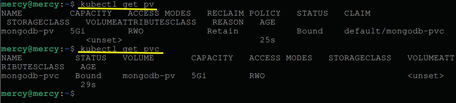 Screenshot representing that PersistentVolume and PersistentVolumeClaims have been created