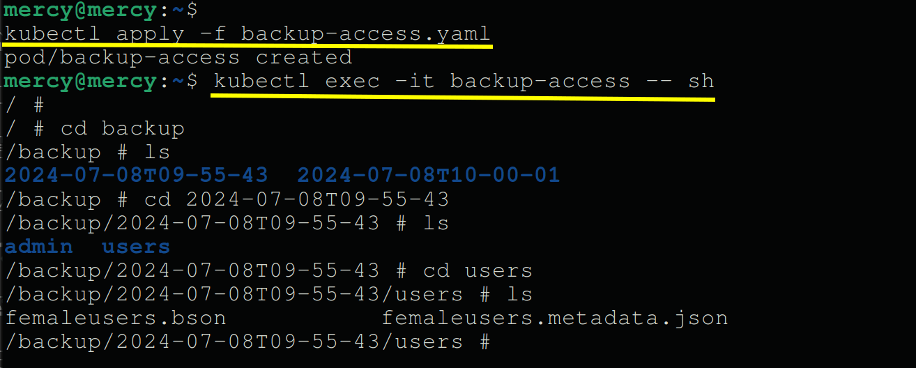 Acessando usuários do backup