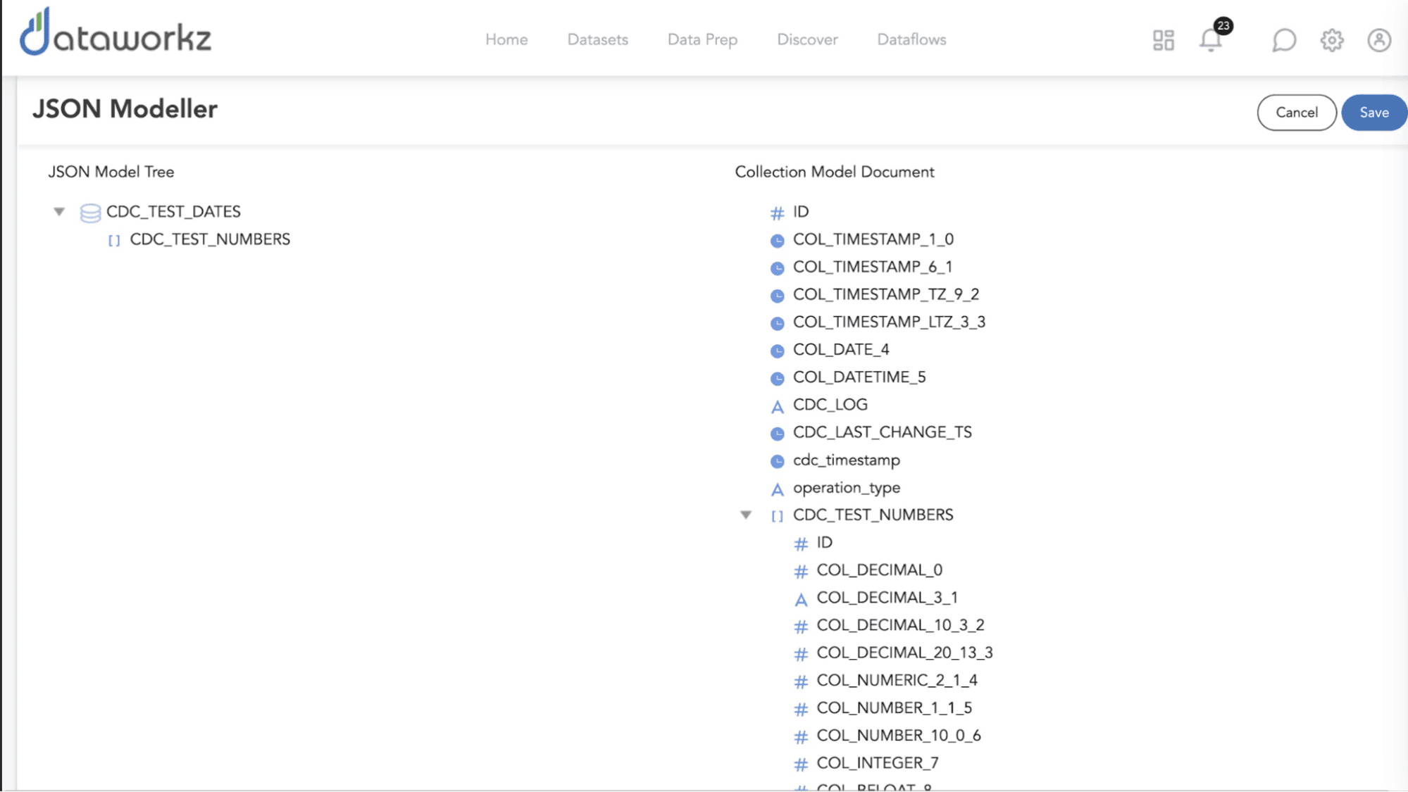 Tela de detalhes do modelo JSON do Dataworkz