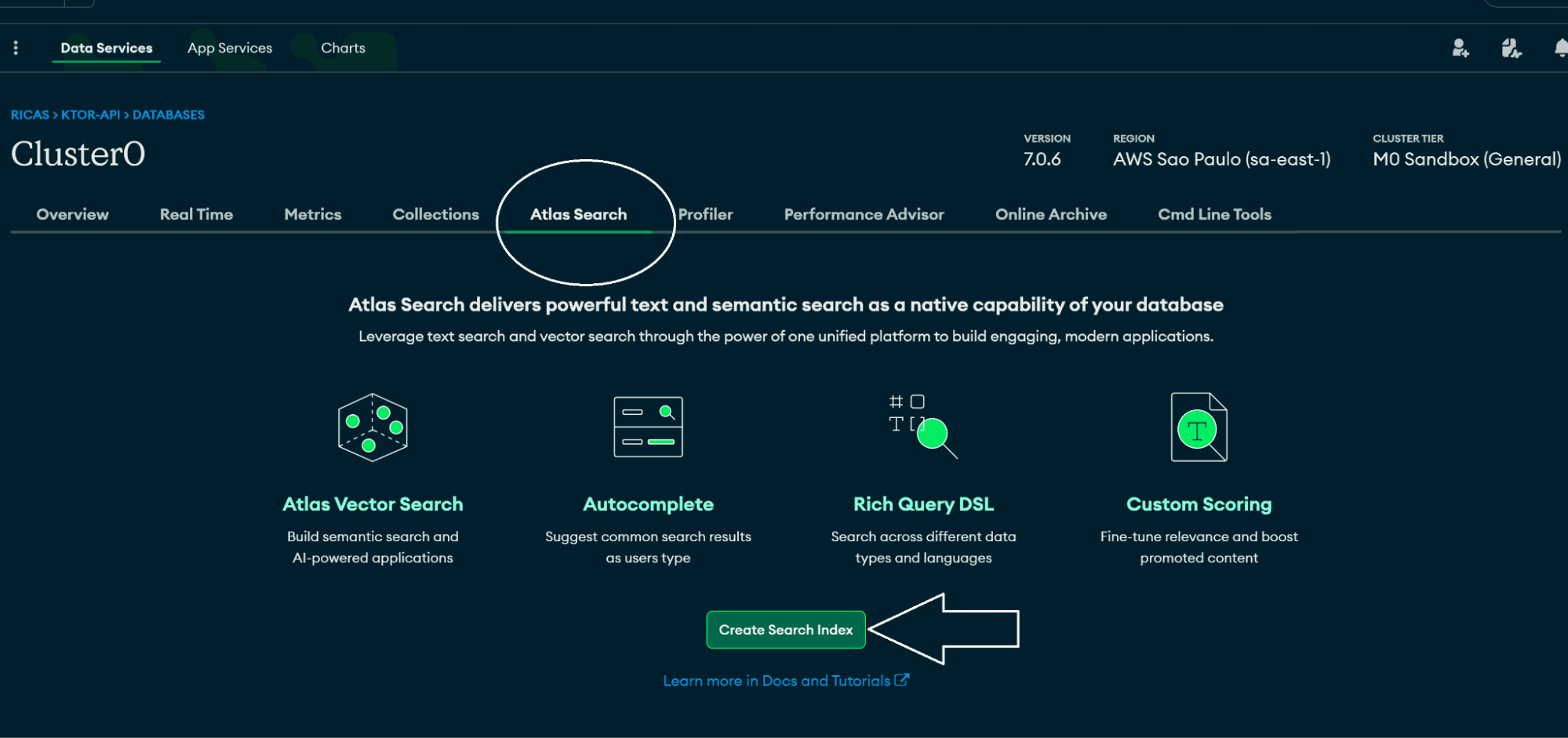 Criando um novo índice do Atlas Search.