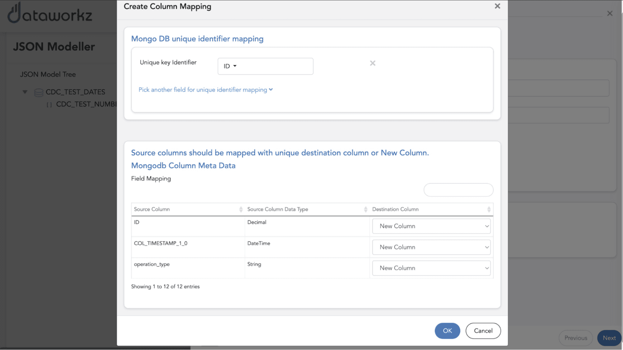 Tela de configurações de mapeamento personalizado do Dataworkz