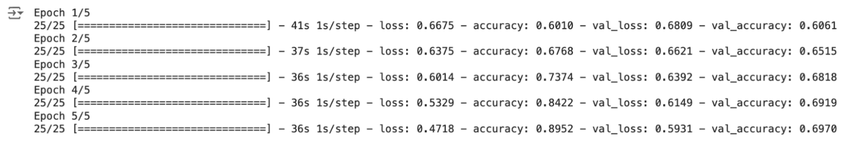 output after running the model