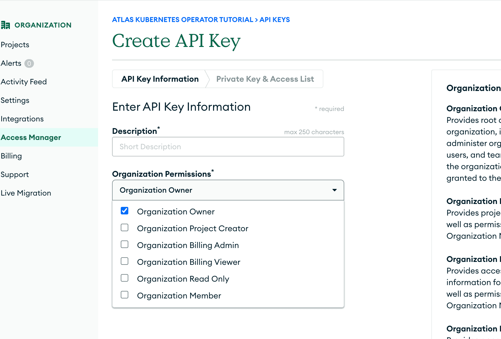 Atlas UI “Create API Keys” page