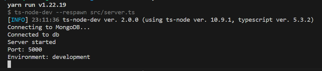 terminal output if server starts successfully