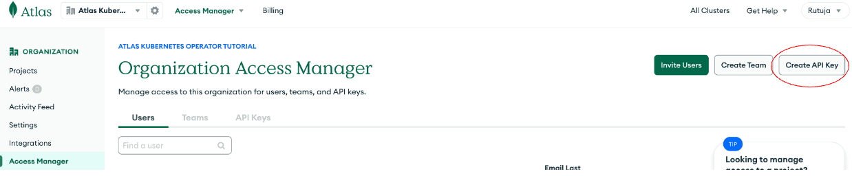 Atlas Organization Access Manager page