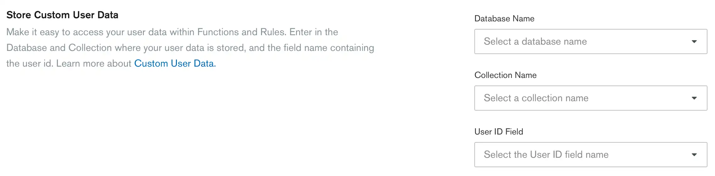 Input boxes for the collection and user id field in the App Services UI.