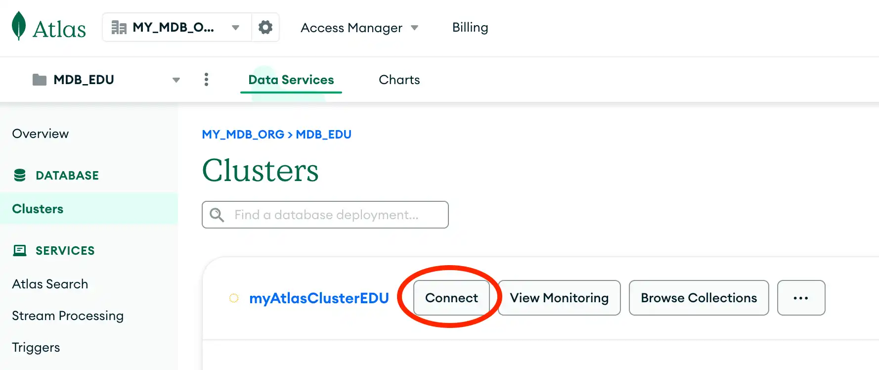 Atlas Connection GUI cluster selection screen